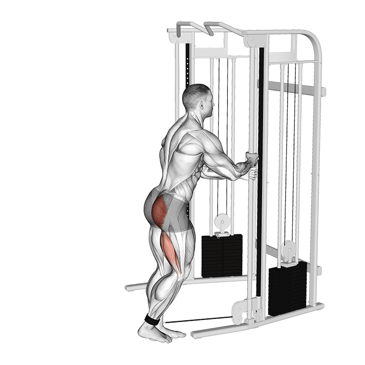 Glute Cable Kickback exercise animation