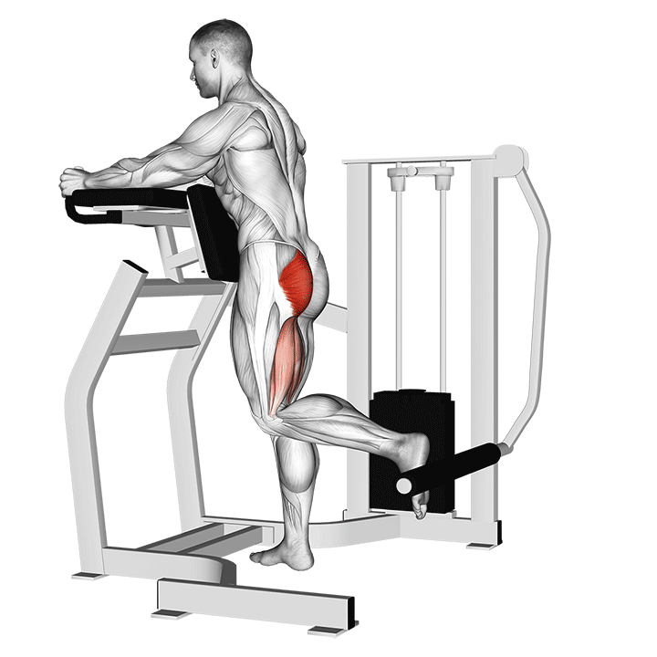 Glute Machine Kickback exercise animation