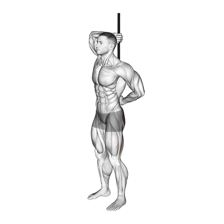 Hip Hinge exercise animation