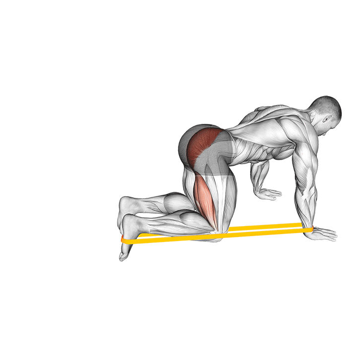 Kneeling Resistance Band Glute Kickback exercise animation