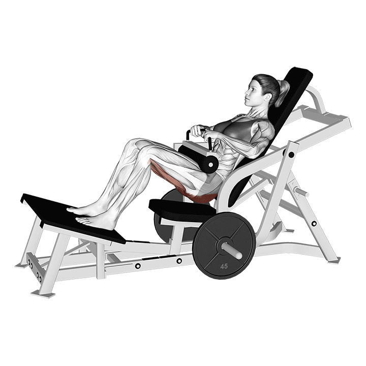 Machine Hip Thrust exercise animation