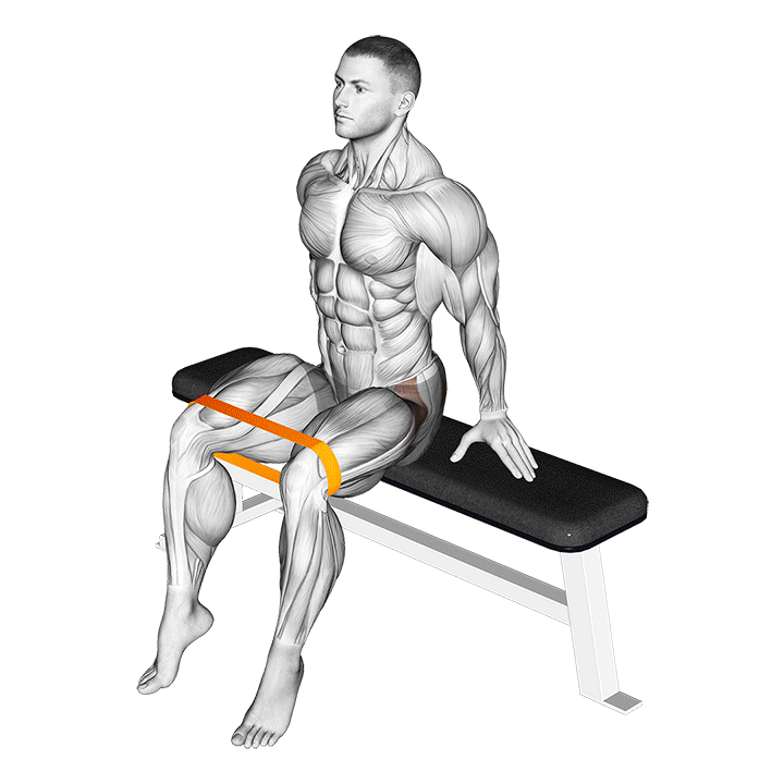 Seated Band Hip Abduction exercise animation