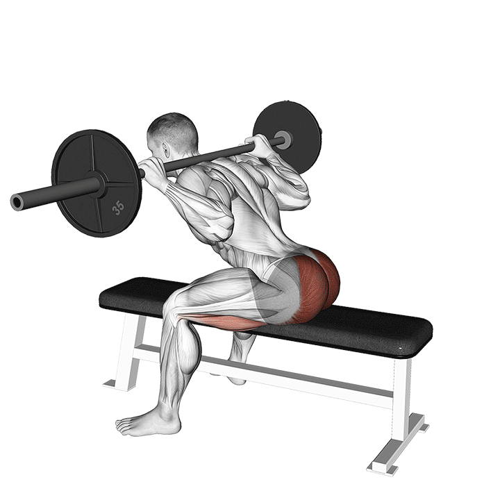 Seated Good Morning exercise animation