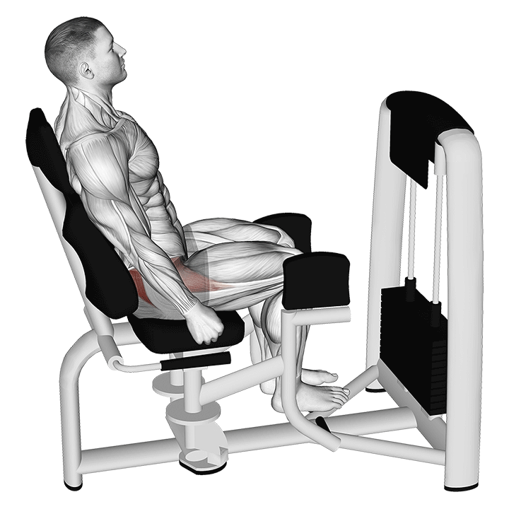 Seated Hip Abduction exercise animation
