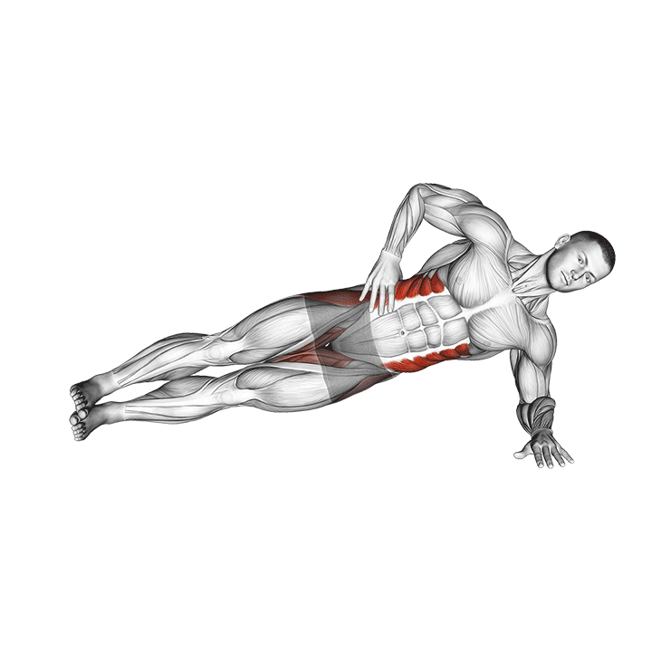 Side Plank Hip Abduction exercise animation