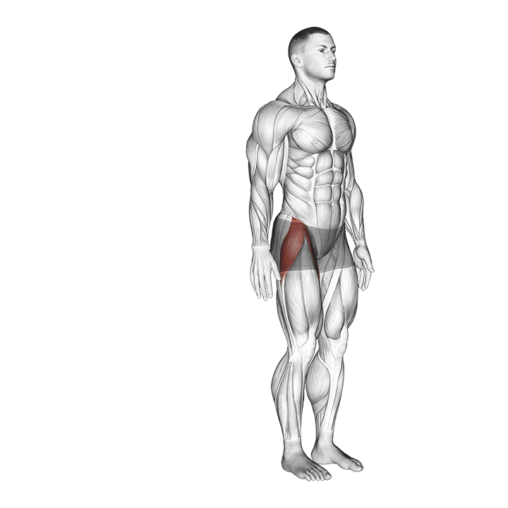 Standing Hip Abduction exercise animation