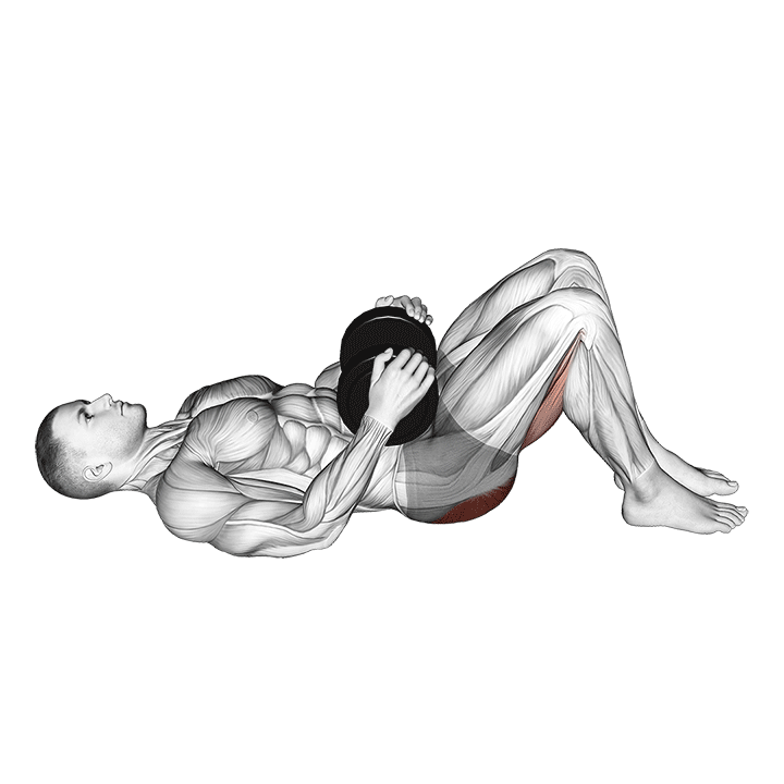 Weighted Glute Bridge exercise animation