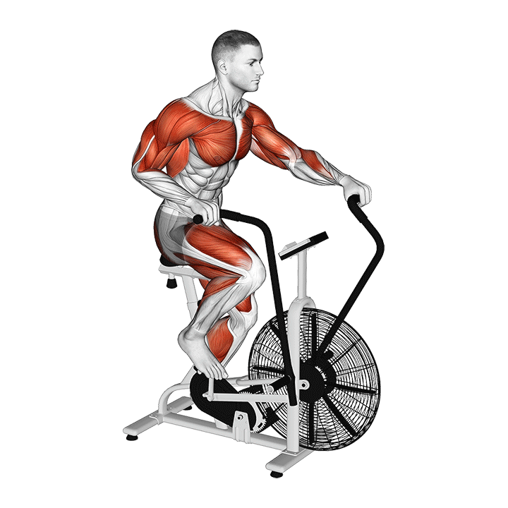 Assault Air Bike exercise animation