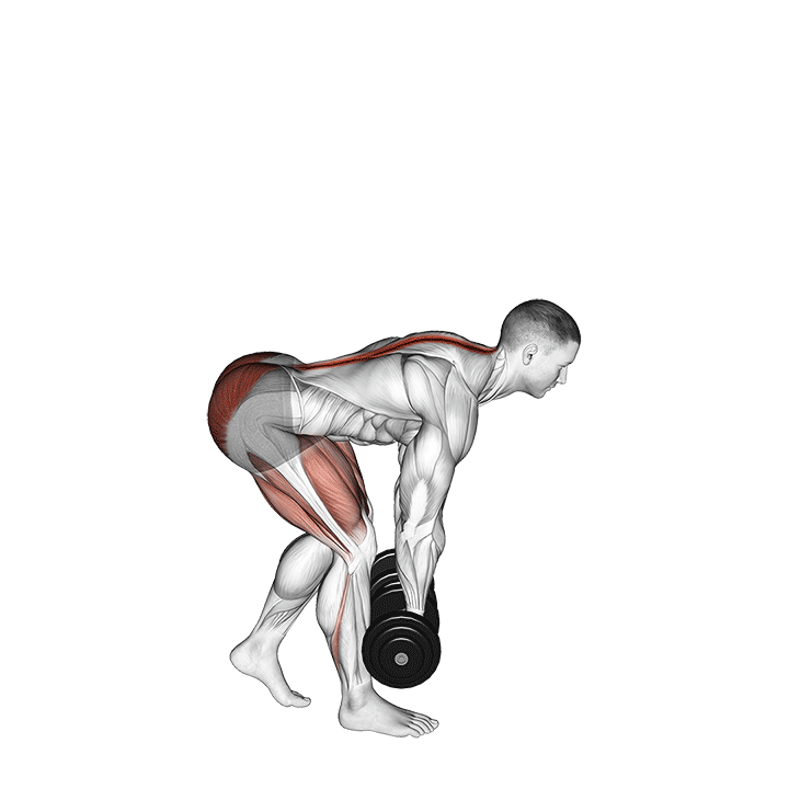 B Stance Romanian Deadlift exercise animation