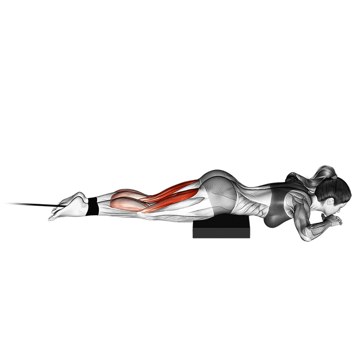 Band Lying Leg Curl exercise animation