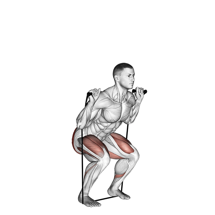 Band Squat exercise animation