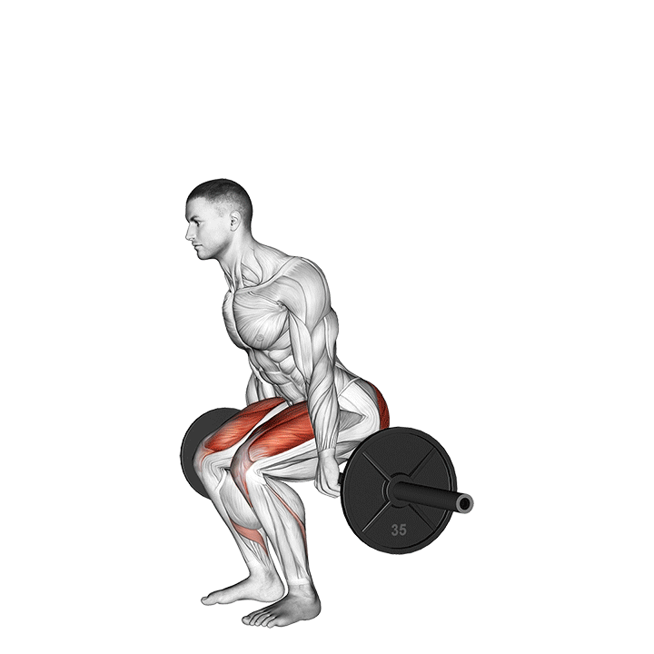 Barbell Hack Squat exercise animation