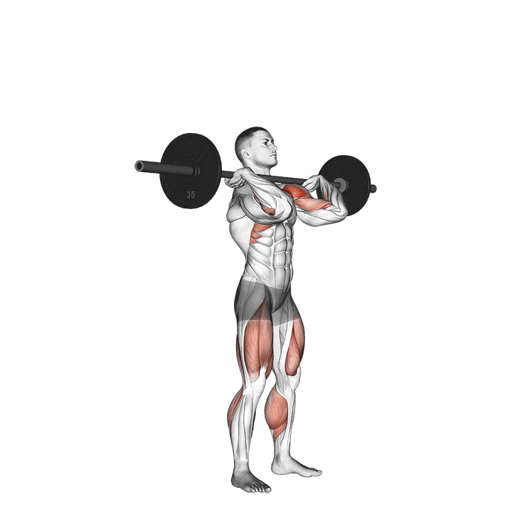 Barbell Push Press exercise animation