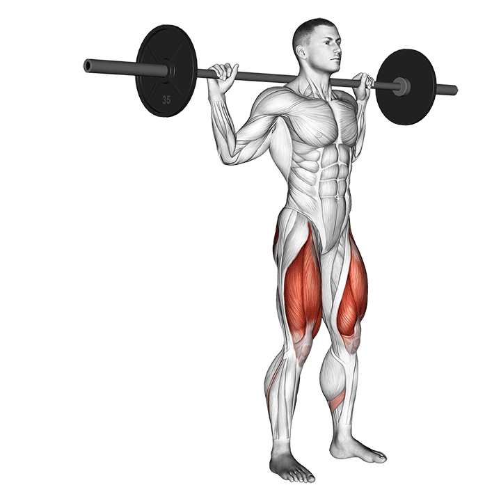 Barbell Reverse Lunges exercise animation