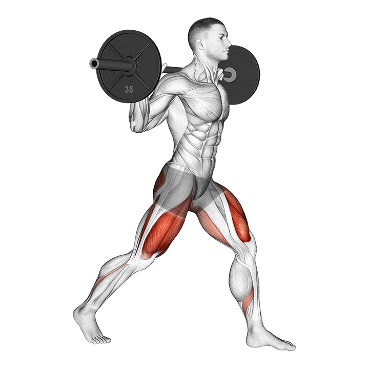 Barbell Split Squat exercise animation