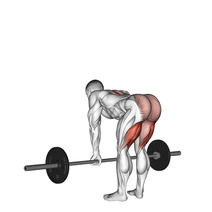 Barbell Straight Leg Deadlift exercise animation