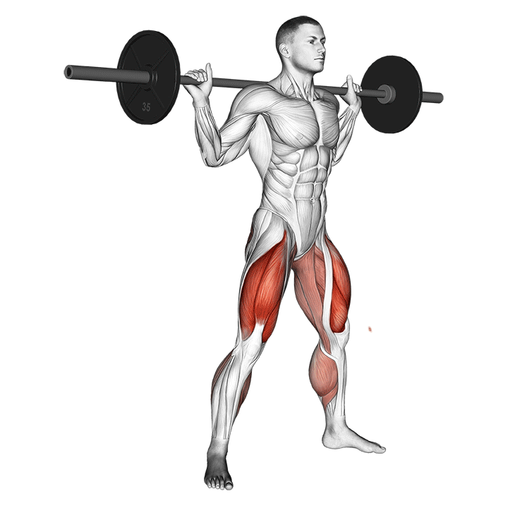 Barbell Sumo Squat exercise animation