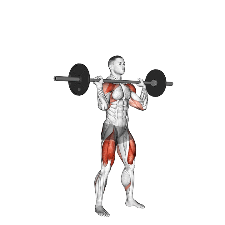 Barbell Thruster exercise animation