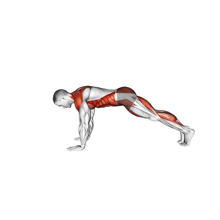 Bird Dog Plank exercise animation