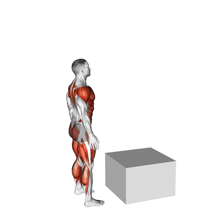 Box Jumps exercise animation
