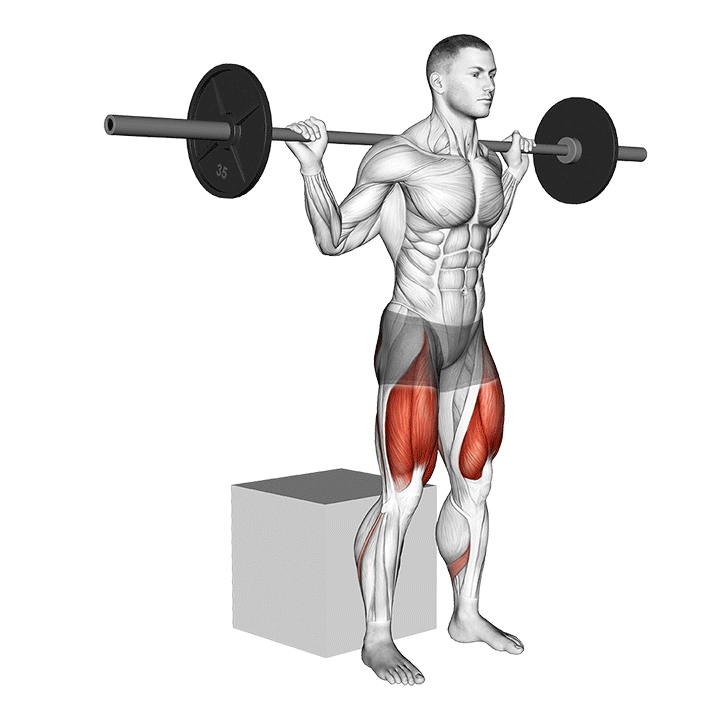Box Squat exercise animation