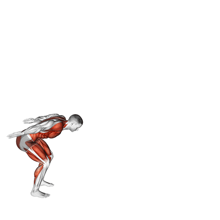 Broad Jump exercise animation