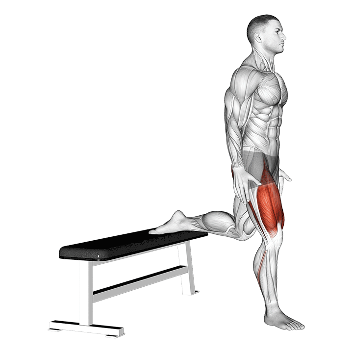 Bulgarian Squat exercise animation