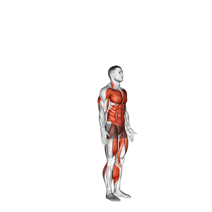Burpee exercise animation