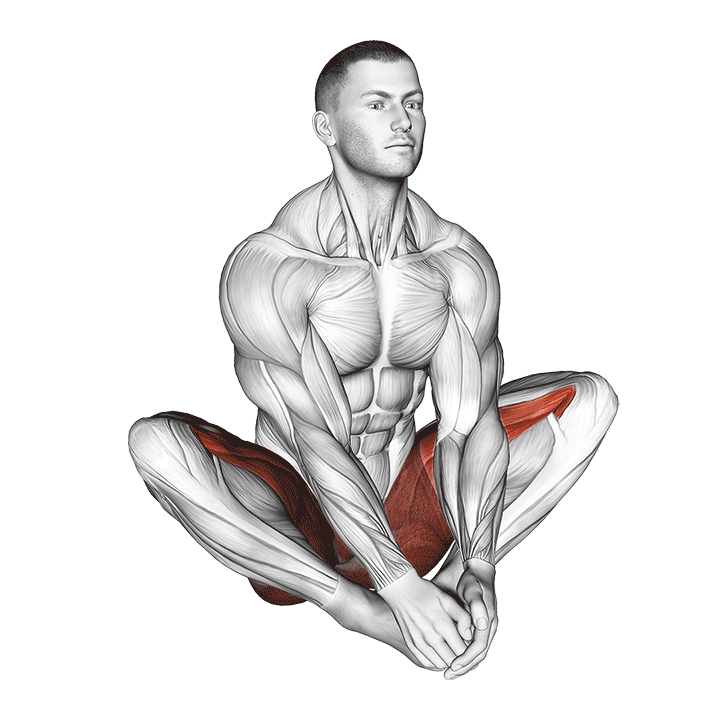 Butterfly Stretch exercise animation