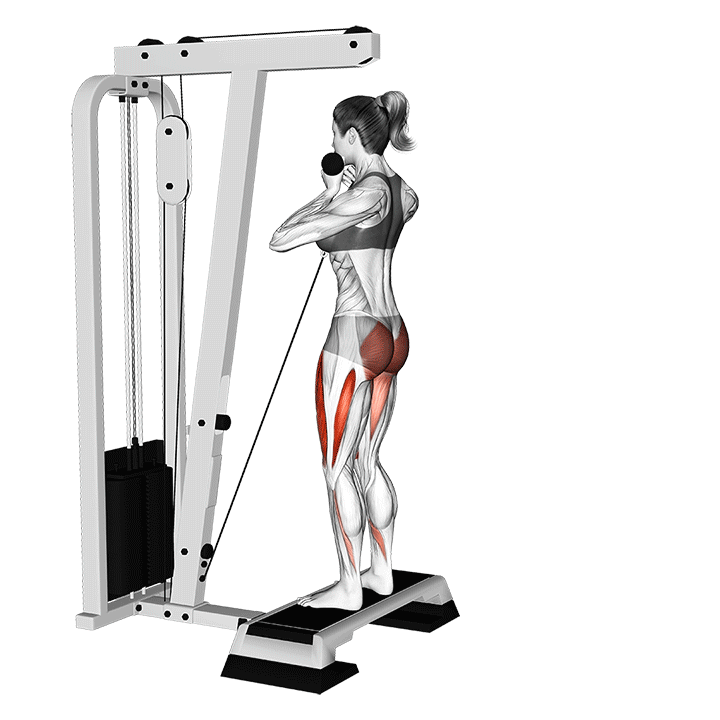 Cable Step Up exercise animation