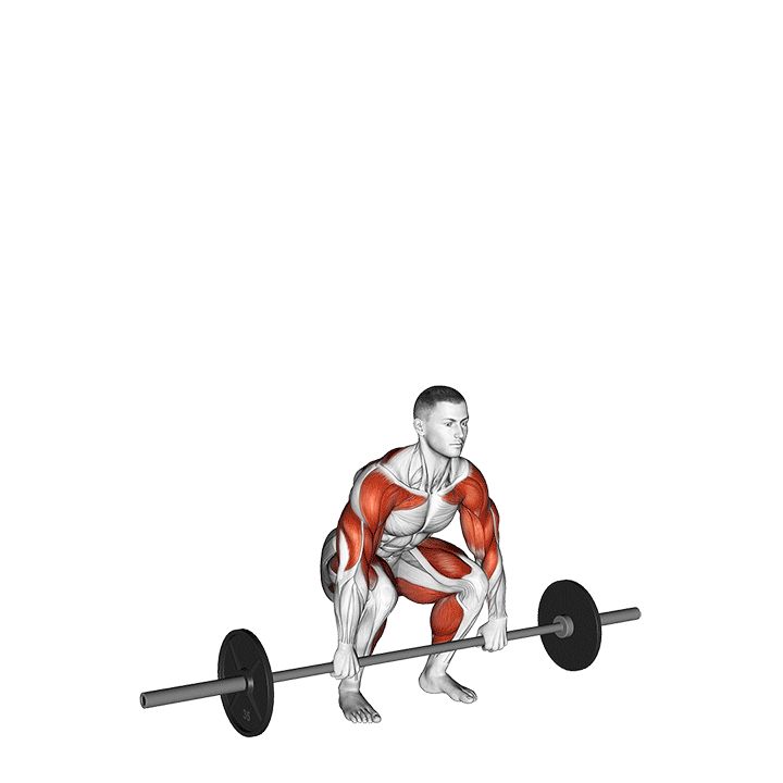 Clean and Jerk exercise animation