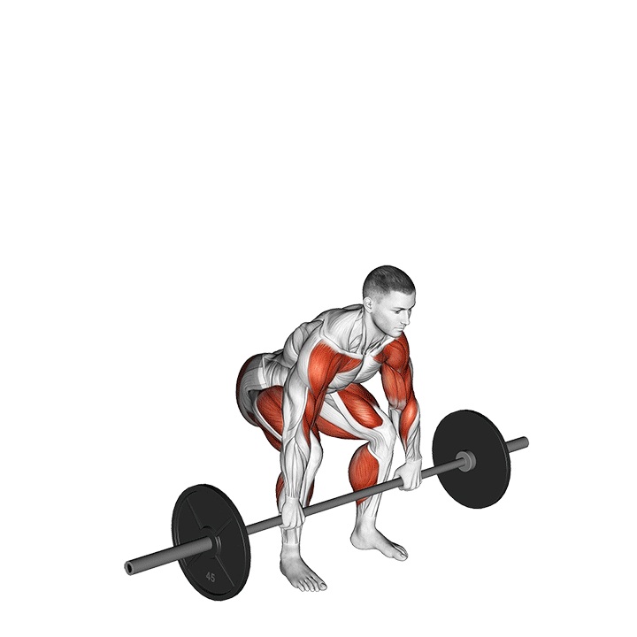 Clean Squat exercise animation