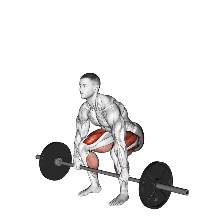 Deadlift exercise animation