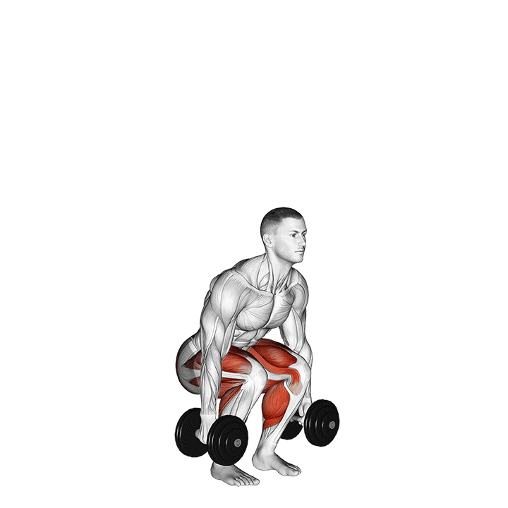 Dumbbell Jump exercise animation