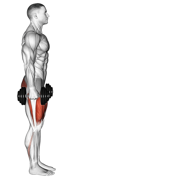 Dumbbell Lunges exercise animation