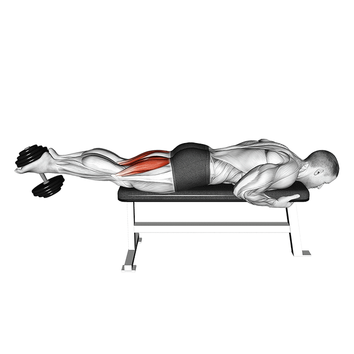 Dumbbell Lying Leg Curl exercise animation