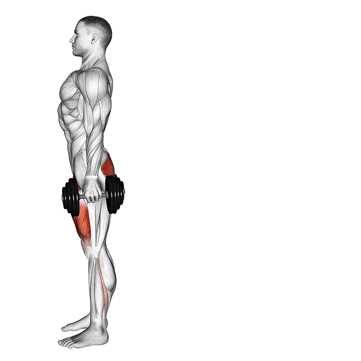 Dumbbell Rear Lunge exercise animation
