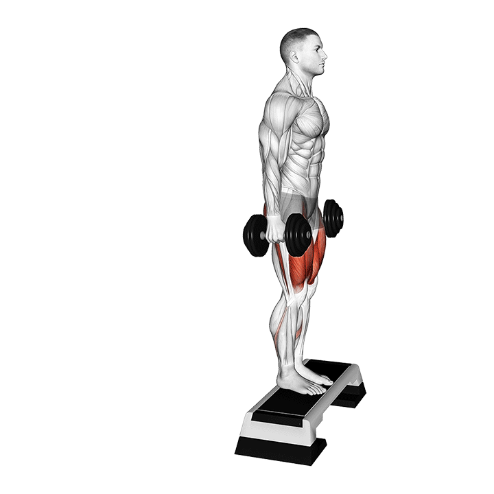 Dumbbell Reverse Lunge off Step exercise animation