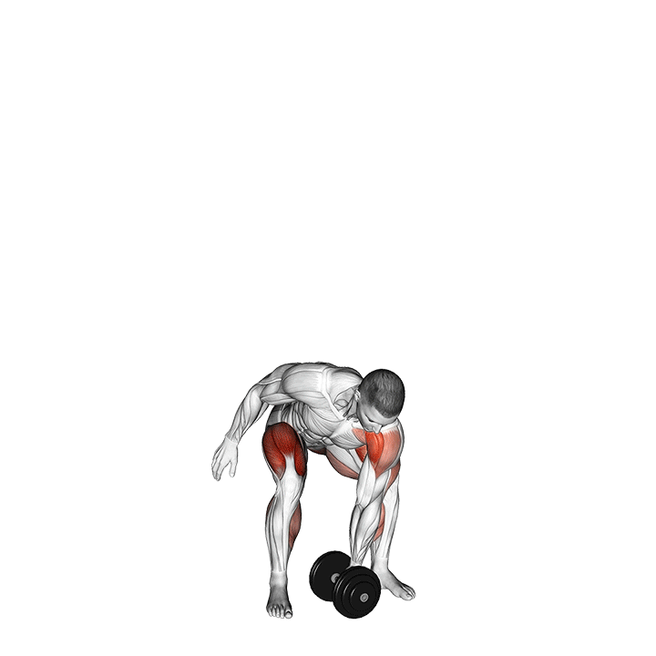 Dumbbell Snatch exercise animation
