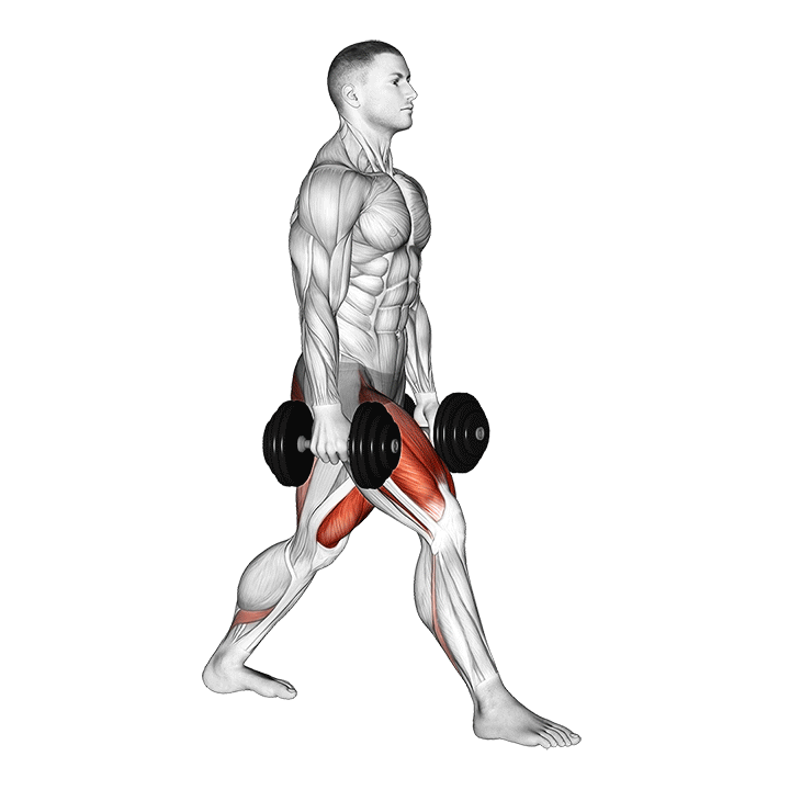 Dumbbell Split Squat exercise animation