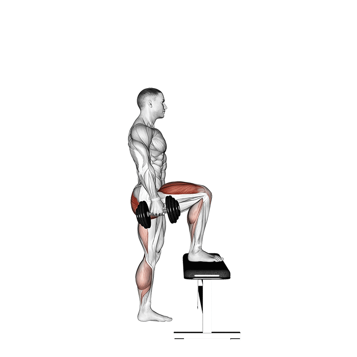 Dumbbell Step-Up exercise animation