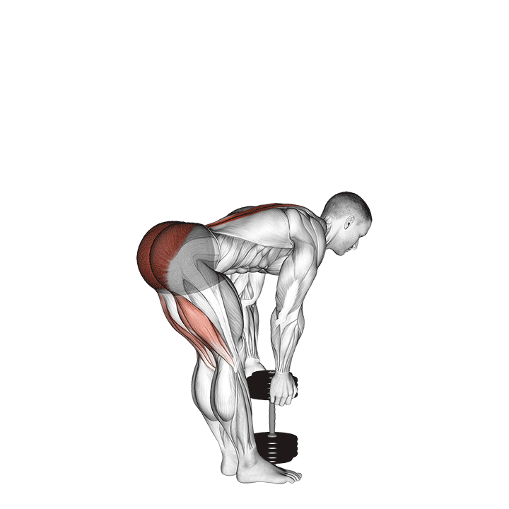 Dumbbell Straight Leg Deadlift exercise animation