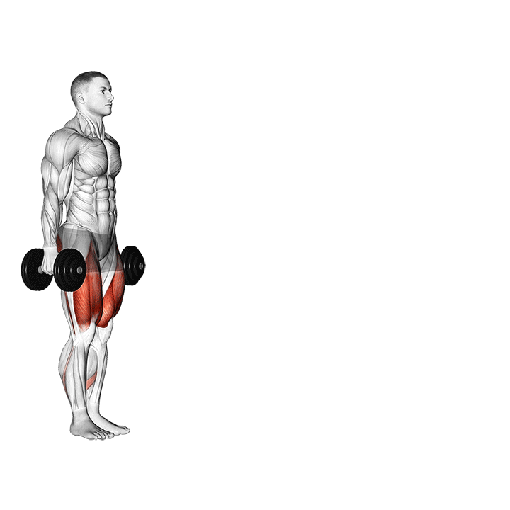 Dumbbell Walking Lunges exercise animation