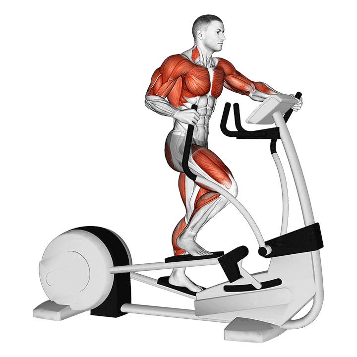 Elliptical Trainer exercise animation