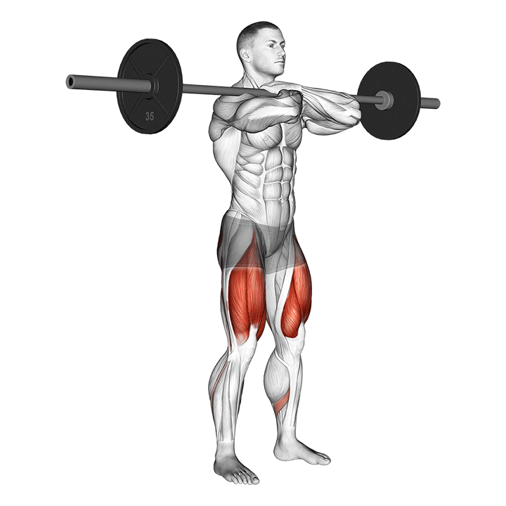 Front Squat exercise animation