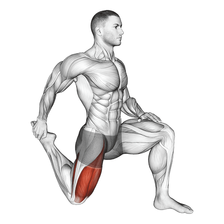 Half Kneeling Quad Stretch exercise animation