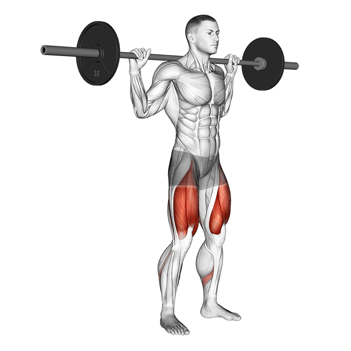 Half Squat exercise animation