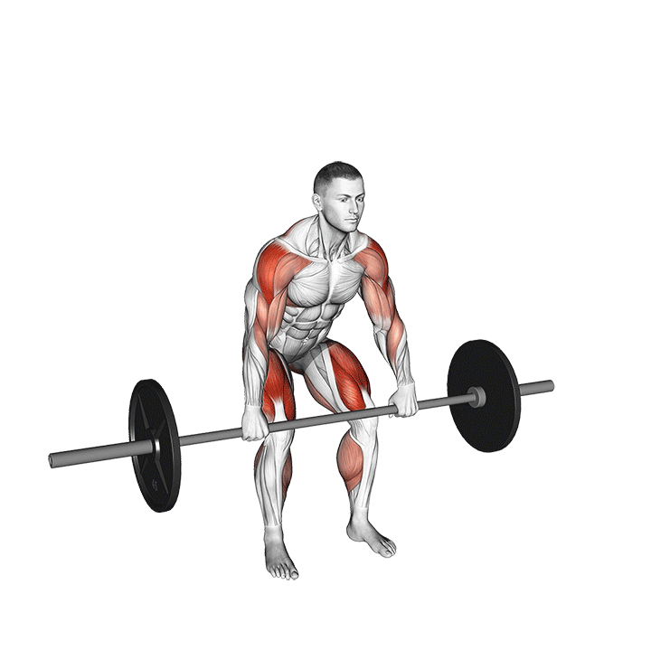 Hang Power Clean exercise animation