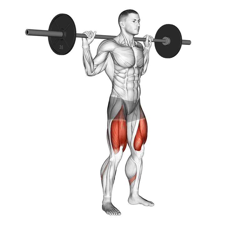 High-Bar Squat exercise animation