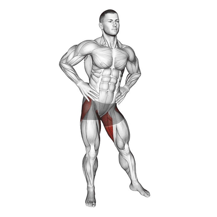 Hip Circles exercise animation